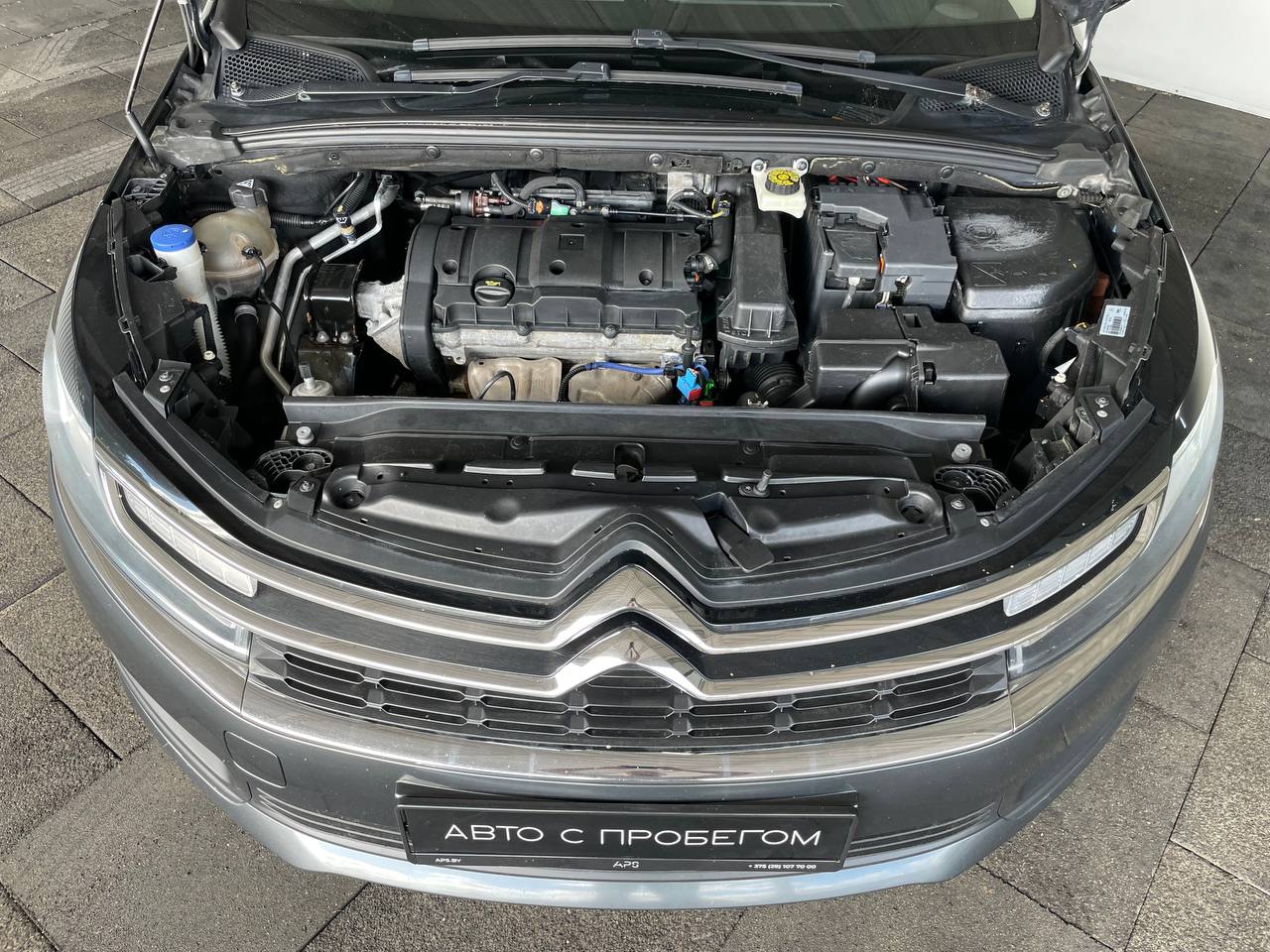  C4