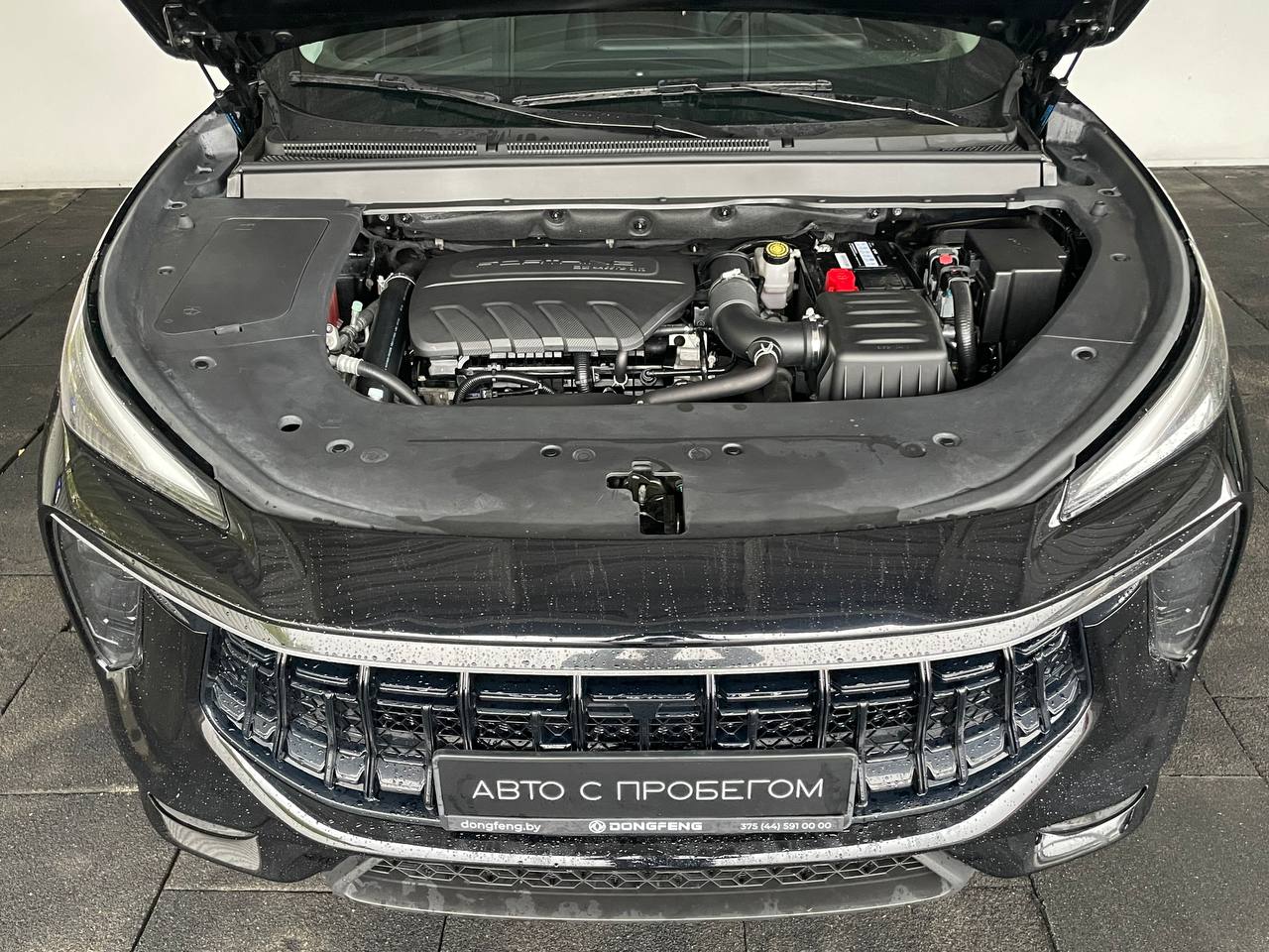  Forthing T5 Evo
